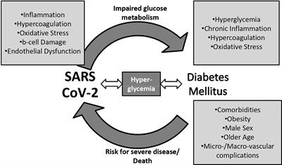 The Role of Diabetes and Hyperglycemia on COVID-19 Infection Course—A Narrative Review
